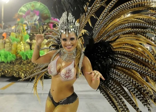 Rio Janeiro Lutego 2012 Parada Szkół Samba Podczas Karnawału Rio — Zdjęcie stockowe