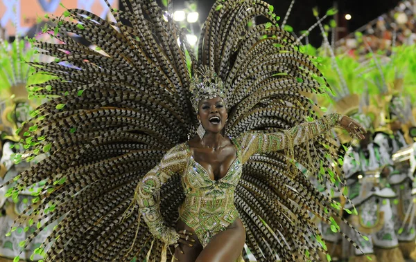 Rio Janeiro Lutego 2012 Parada Szkół Samba Podczas Karnawału Rio — Zdjęcie stockowe