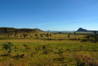 Sao Jorge, 5 Kasım 2016. Maytrea Garden, Chapada dos Veadeiros Ulusal Parkı, Goias, Brezilya