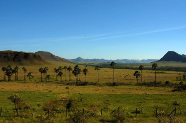 Sao Jorge, 5 Kasım 2016. Maytrea Garden, Chapada dos Veadeiros Ulusal Parkı, Goias, Brezilya