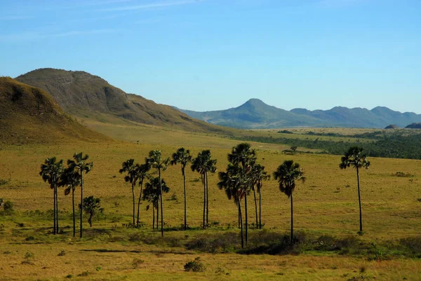 Sao Jorge, 5 Kasım 2016. Maytrea Garden, Chapada dos Veadeiros Ulusal Parkı, Goias, Brezilya