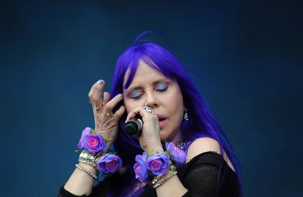 Rio Janeiro September 2015 Singer Baby Brasil Her Show Rock — Stock Photo, Image