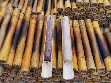 Bambu ve khao lahanalı pilav. Bambuda kızartılmış glutinous pilavı..
