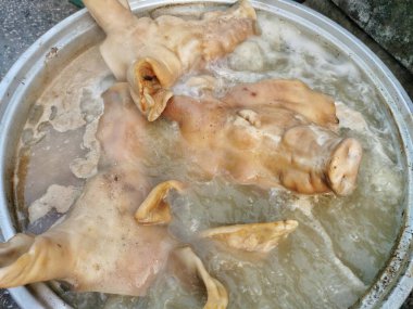 Domuz kafası tencerede kaynamış. Haşlanmış domuz kafası. Domuz kafası. Sıcak su kaynıyor..