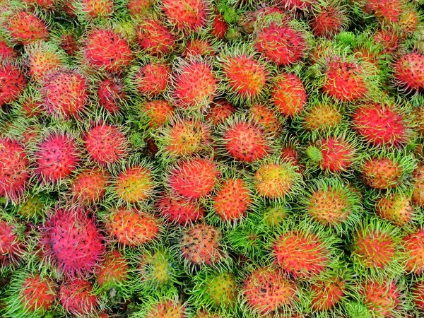 Rambutans Thai Fruit Long Fur Fruit Summer Season — Stock Photo, Image