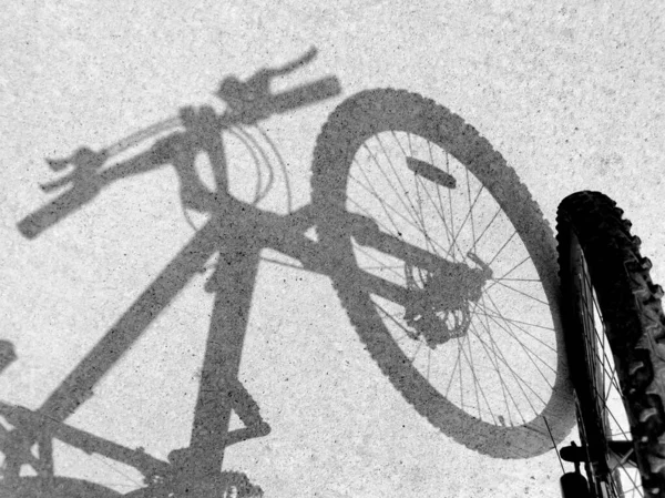 Luce Ombra Della Bicicletta Sul Manto Stradale Foto Stock