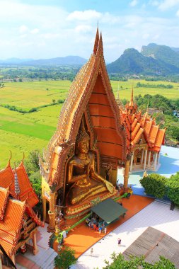 Kanchanaburi bölgesindeki Wat tham Suea 'daki mozaikten yapılmış büyük altın Buda heykeli ya da kaplan mağarası tapınağı, tapınağın arkasında pirinç tarlaları ve güzel gökyüzü manzarası var..