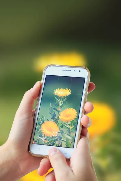 Mujer Fotografiando Una Flor Con Celular Cámara Fotográfica Smartphone — Foto de Stock