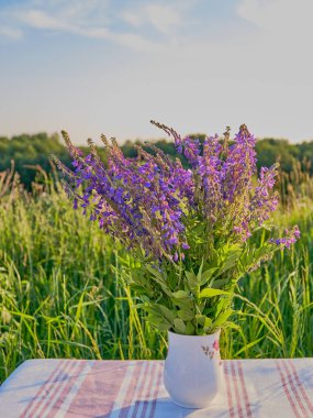 Güneş ışığıyla aydınlatılan bir buket taze mor kır çiçeği yeşil çimenler ve mavi gökyüzünün bulanık arka planındaki bir masada bir bardakta. Yaz zamanı konsepti.