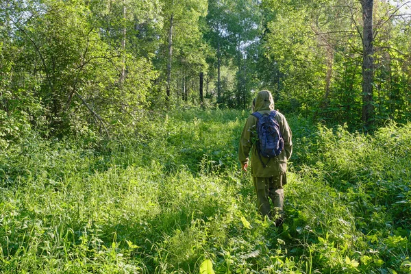 Hombre Activo Traje Mosquito Con Mochila Senderismo Bosque Siberiano Rusia — Foto de Stock