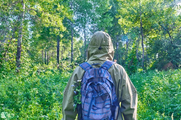 Hombre Activo Traje Mosquito Con Mochila Senderismo Bosque Siberiano Rusia — Foto de Stock