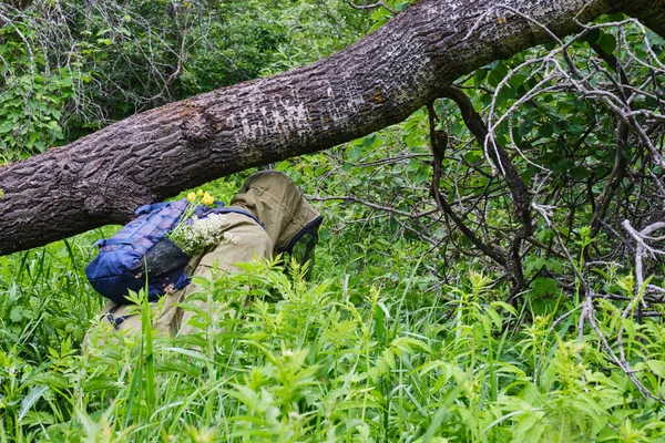 Hombre Activo Traje Mosquito Con Mochila Senderismo Bosque Siberiano Rusia — Foto de Stock