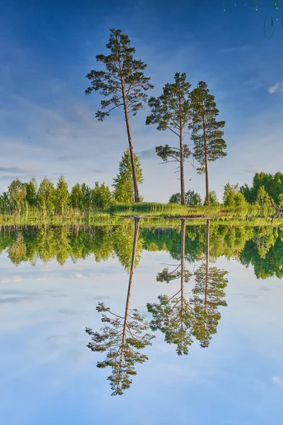 Symmetrische Reflectie Het Wateroppervlak Van Het Prachtige Landschap Met Drie — Stockfoto