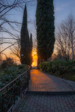 Gün batımında güzel bir park manzarası. Güneş iki selvi arasında. Güneş hem denize hem de bahçe yoluna yansıyor. Kışın Soçi, Rusya.