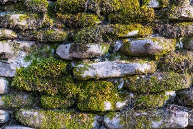Düz kaldırım taşlarından oluşan düz olmayan duvarın dokusu arka plan olarak yosun ile kaplanmış.