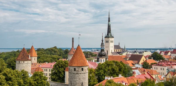 Estonya 'daki Tallinn Eski Kasabası' nın turuncu çatıları ve örümcekleri. Pankart. Boşluğu kopyala.