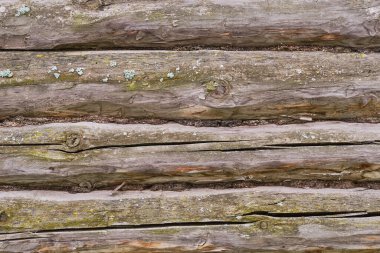 Arkaplan olarak çatlaklı, lichens, meşe ağacı olan eski ahşap duvarın dokusu