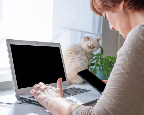 Senior woman working on laptop at home or uses some online services or buys something She typing on keyboard with one hand, and holding her smartphone with other Cute beige cat sitting next to her