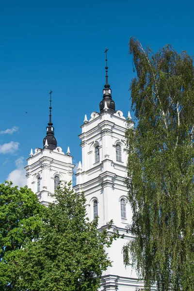 Daugavpils Lettland Juli 2018 Katholische Kirche Der Unbefleckten Empfängnis Der — Stockfoto