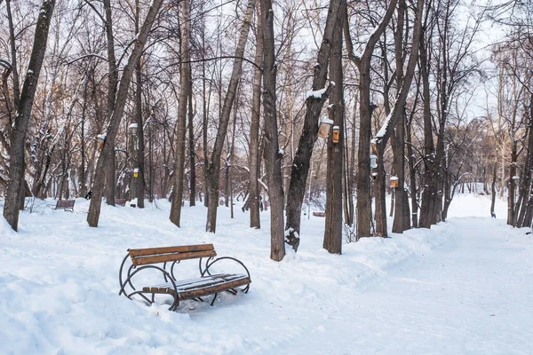 Paisaje de invierno. Banco marrón de madera en el callejón de un viejo parque nevado . — Foto de Stock