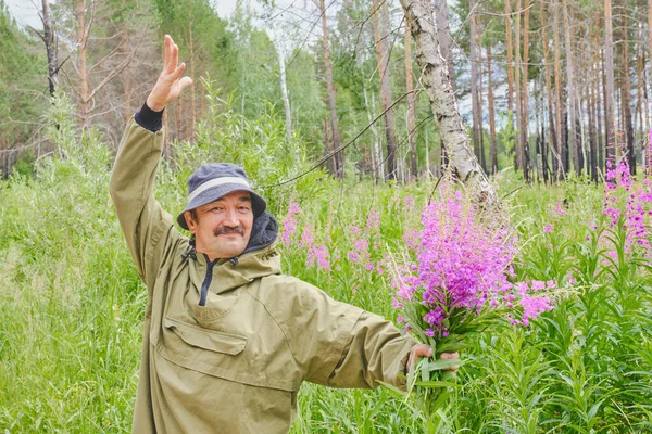 蚊のスーツのシニア男は彼の手の中に火雑草の花束を保持し 開花草原や森の背景にカメラに見える一方 挨拶で提起Chamaenerion Angustifolium イワン茶 — ストック写真