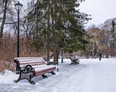 Kış parkında karla kaplı kırmızı ahşap bankları olan bir sokak..