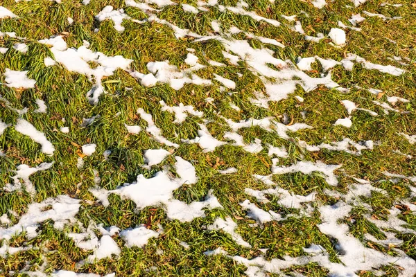 Herfst Achtergrond Witte Sneeuw Smolt Zon Tussen Het Geel Groene — Stockfoto
