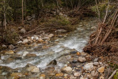 Dağ nehri çalılıkların arasında hızla taşların üzerinden akar. Peyzaj