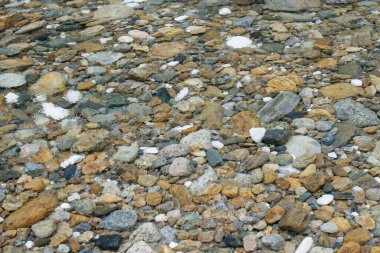 Dağ nehrinde, berrak sularda, küçük renkli taşlar görülebilir. Doku Hareketi bulanıklığı