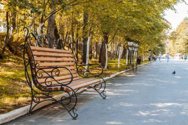 Şehir parkındaki karanlık bir sokakta demir dirseklikleri olan romantik ahşap bir bank..