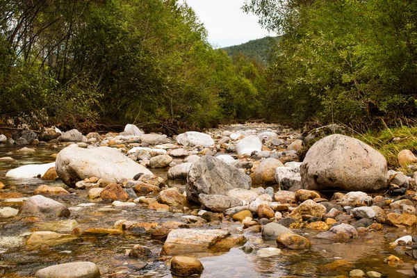 Mountain river flows through a pile of stones among thickets. Landscape