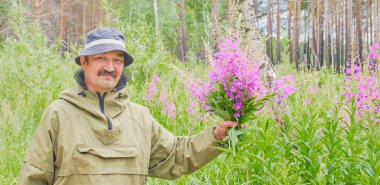 Senior man in mosquito suit holds bouquet of fireweed in his hand and looks into camera on background of blossoming meadow and forest Banner Chamaenerion angustifolium, Ivan tea clipart