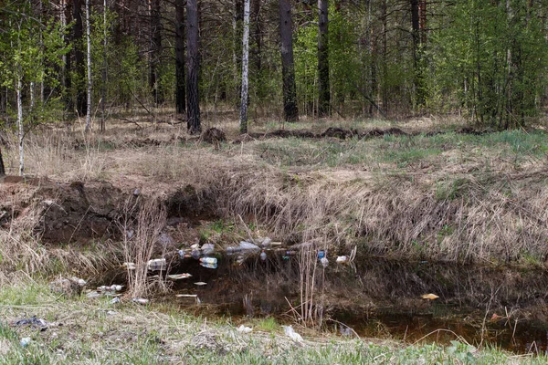 Pollution of nature. Garbage and plastic bottles float on the water of the reservoir inside the Siberian forest.