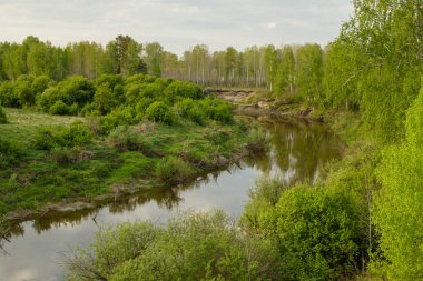 Taiga Sibirya Nehri Vagai manzarası. Bahar manzarası. Rusya.