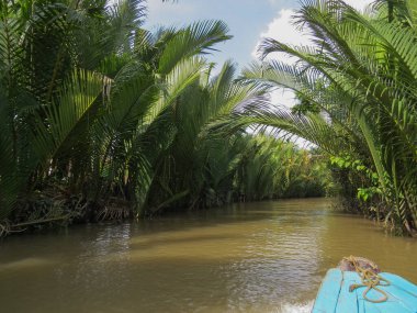 Mekong Nehri 'nin dar deltası. Çamurlu su ve kıyılar boyunca güzel bitkiler. Vietnam.