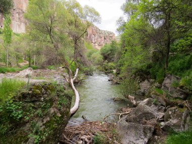 Ihlara Vadisi, Kapadokya 'nın batısında yer almaktadır. Melendiz Nehri dağ sırtından geçerek 150 metre derinliğinde bir vadi oluşturdu..
