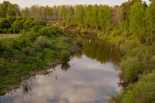 Vista Del Río Siberiano Taiga Vagai Paisaje Primavera Rusia — Foto de Stock