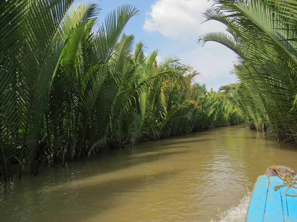 Enges Delta Des Mekong Mit Schlammigem Wasser Und Schönen Pflanzen — Stockfoto