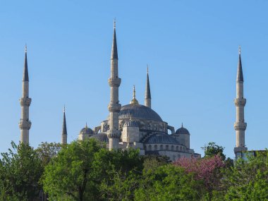 Sultanahmet Camii ya da İstanbul 'daki Mavi Cami, yeşilliğe gömülmüş.