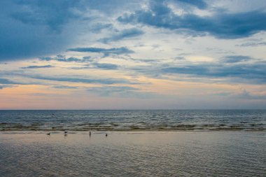 Martılarla dolu güzel bir yaz akşamı deniz manzarası. Baltık Denizi, Jurmala Sahili, Letonya.