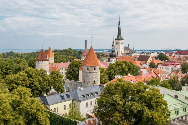 Widok Góry Pomarańczowe Dachy Pająki Starego Miasta Tallinn Estonia — Zdjęcie stockowe