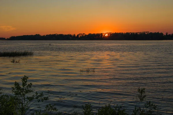 Summer Landscape Beautiful Sunset Volga River Russia — Stock Photo, Image