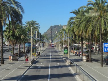 Barselona, İspanya, 23 Temmuz 2014. Paseo Colom, Columbus Anıtı 'na uzanan palmiye ağaçları ile geniş bir cadde..