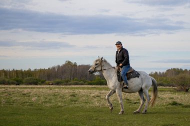 Aromashevsky / Rusya-31 Mayıs 2018: Arazide beyaz bir at süren bir binici