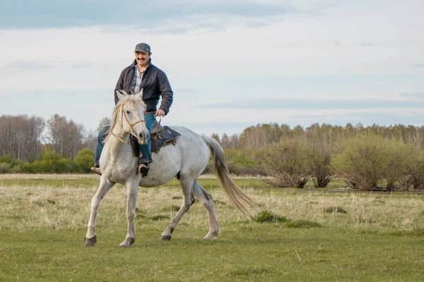 Καβαλάρης Πάνω Άσπρο Άλογο Διασχίζει Βοσκότοπο — Φωτογραφία Αρχείου