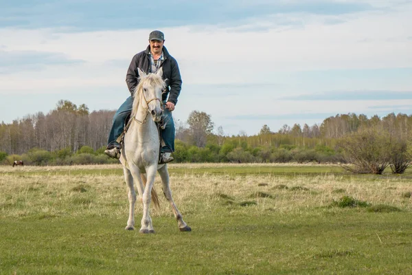 Cavaliere Cavallo Bianco Cavalca Attraverso Pascolo Alla Telecamera — Foto Stock