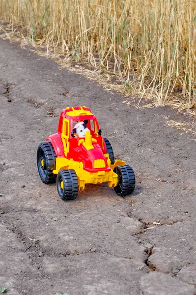 Roter Und Gelber Spielzeugtraktor Mit Spielzeugkuh Als Traktorfahrer Auf Einer — Stockfoto