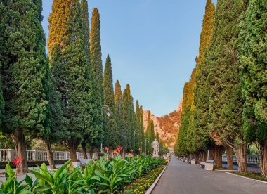 Simeiz kasabasındaki Cypress sokağı, Büyük Yalta, Güney Kıyısı. Apollo Alley, Lenin Bulvarı. Rusça 
