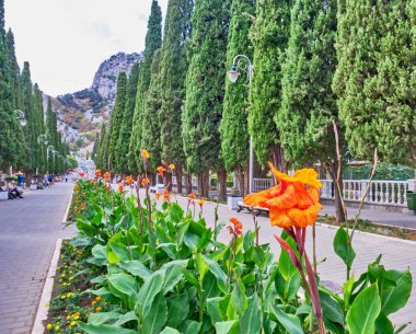 İnsanlar Cypress sokağı boyunca yürüyüp banklarda dinleniyorlar. Simeiz Spa kasabası, Büyük Yalta, Güney Coas. Apollo Sokağı, Lenin Caddesi..