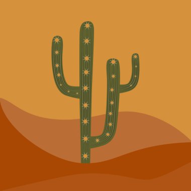 Çölde kaktüs